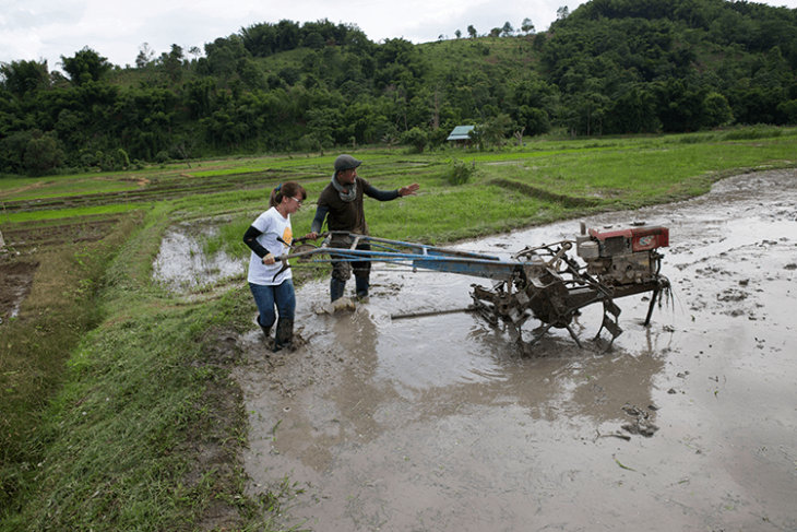 Tigerland Rice Farm likewise runs nearby group extends that anybody can get included in.